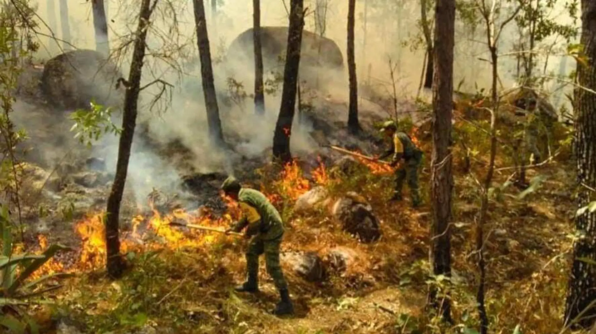 INCENIDOS FOTO CORTESIA DEL EJERCITO MEXICANO